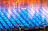 Ashwood gas fired boilers